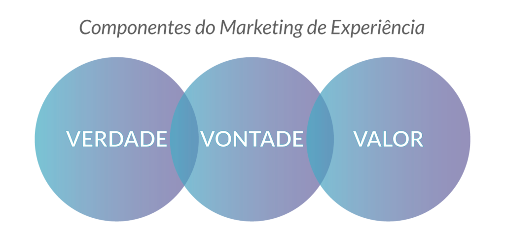 Componentes do Marketing de Experiência Educacional - Rubeus