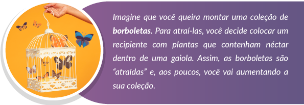 Storytelling - coleção de borboletas - Rubeus